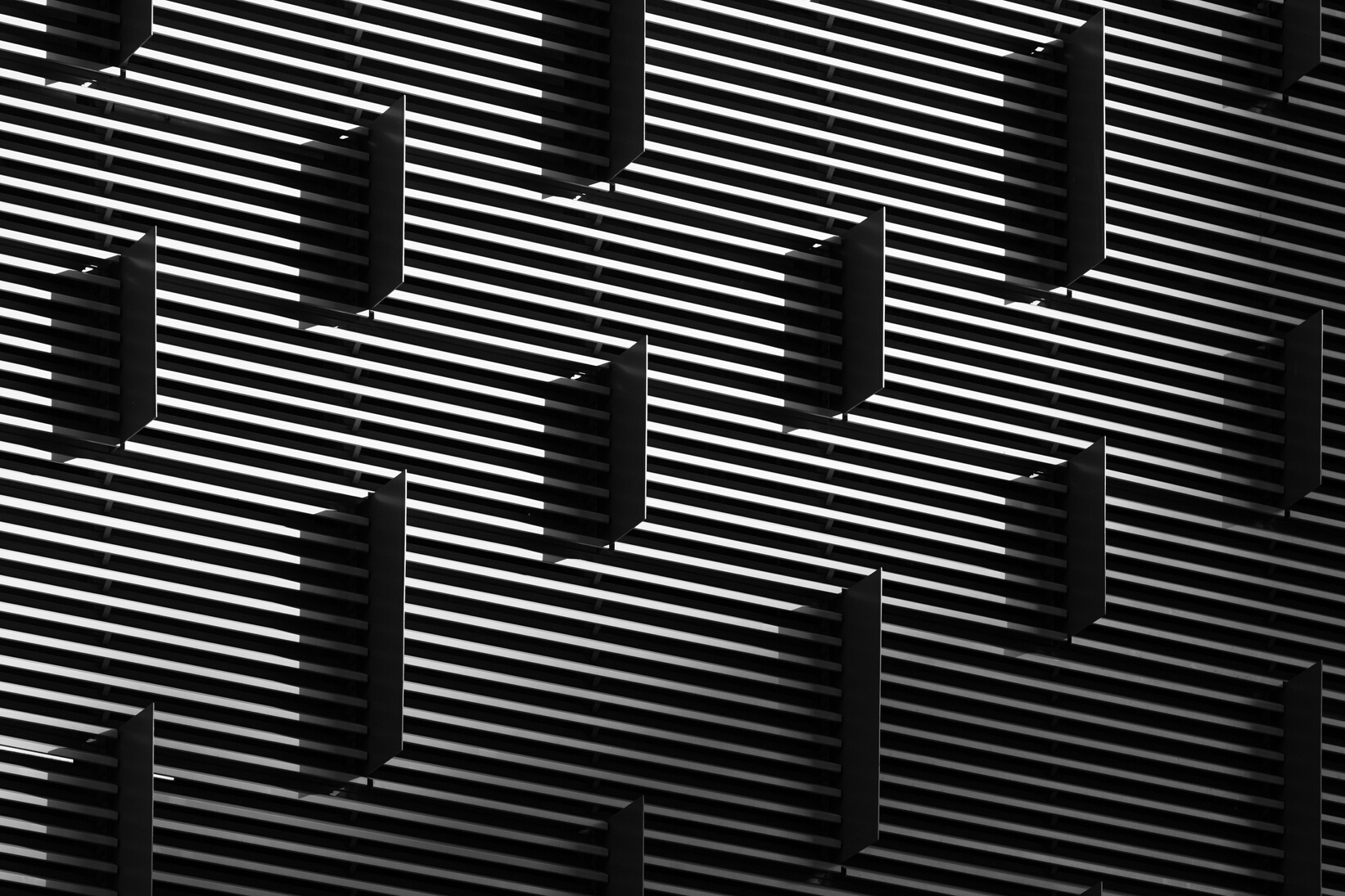 Black and White Striped Illustration